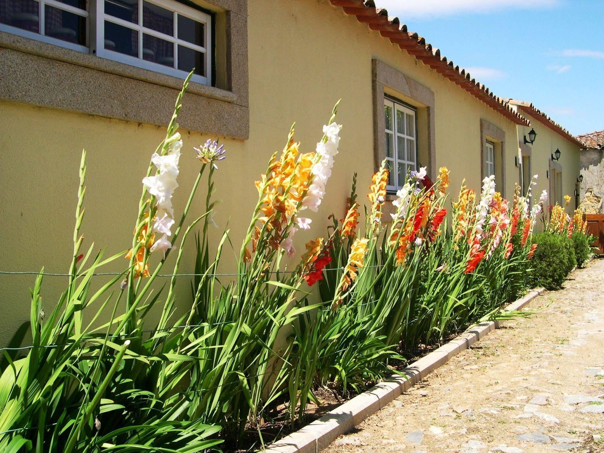 Hospedaria Do Convento D'Aguiar- Turismo De Habitacao Figueira de Castelo Rodrigo Eksteriør billede